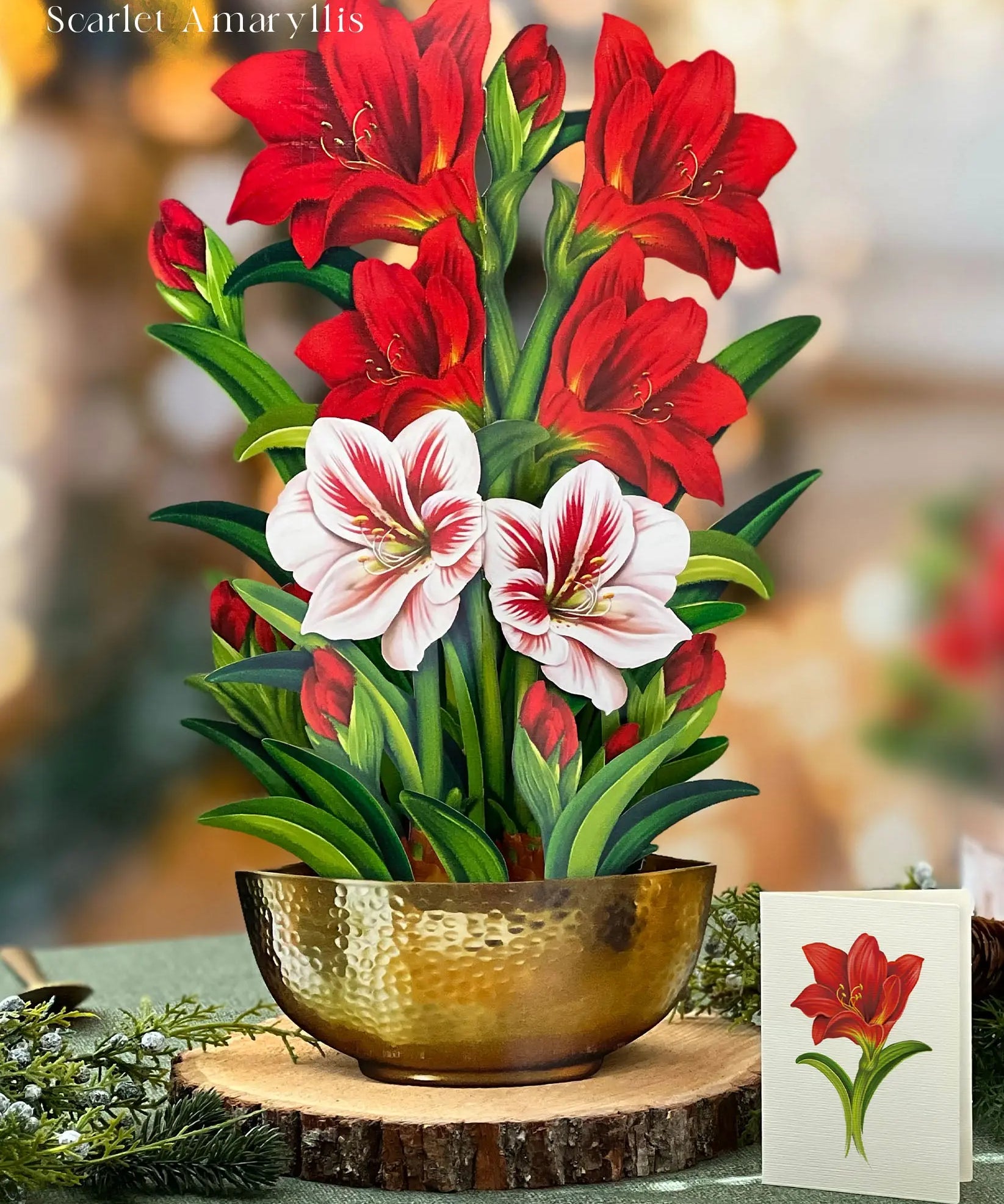 Holiday Essentials Bundle FreshCut Paper