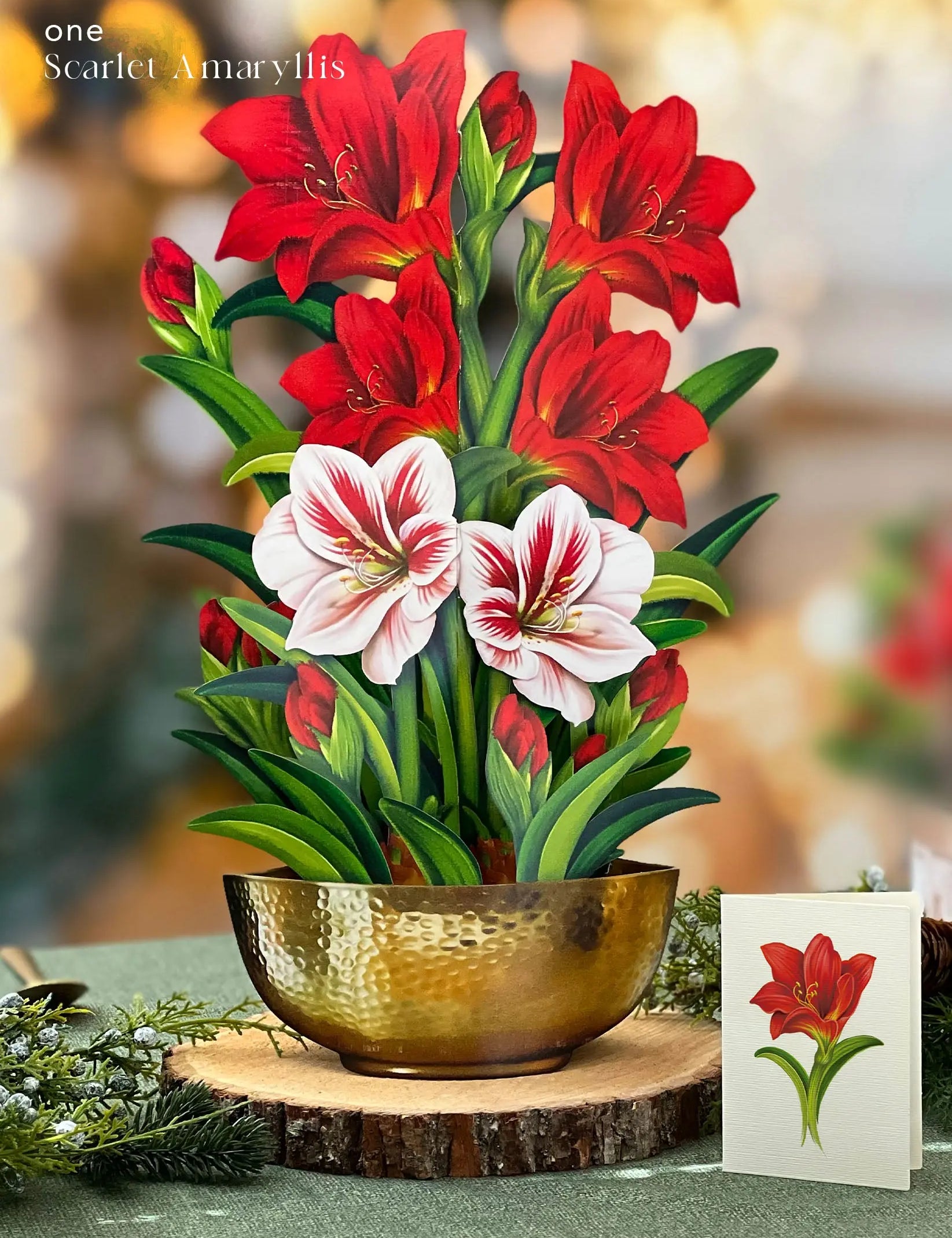 Holiday Essentials Bundle FreshCut Paper