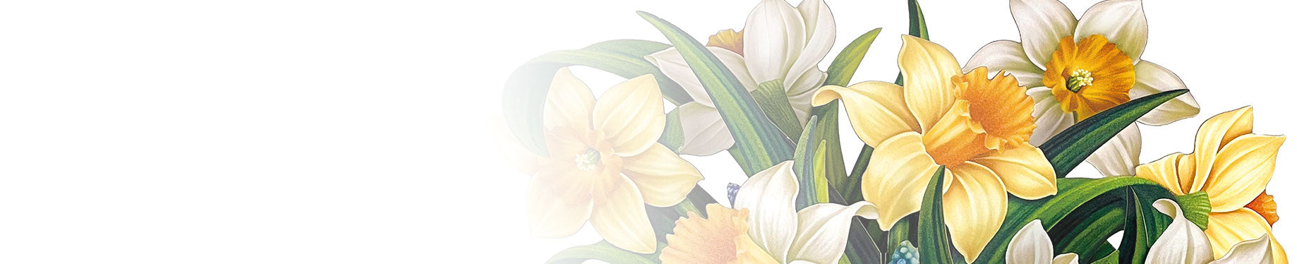 Easter Blooms Desktop Banner