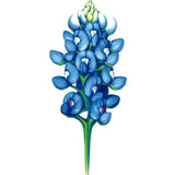 Bluebonnet Card - FreshCut Paper