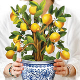 Lemon Blossom Tree - FreshCut Paper