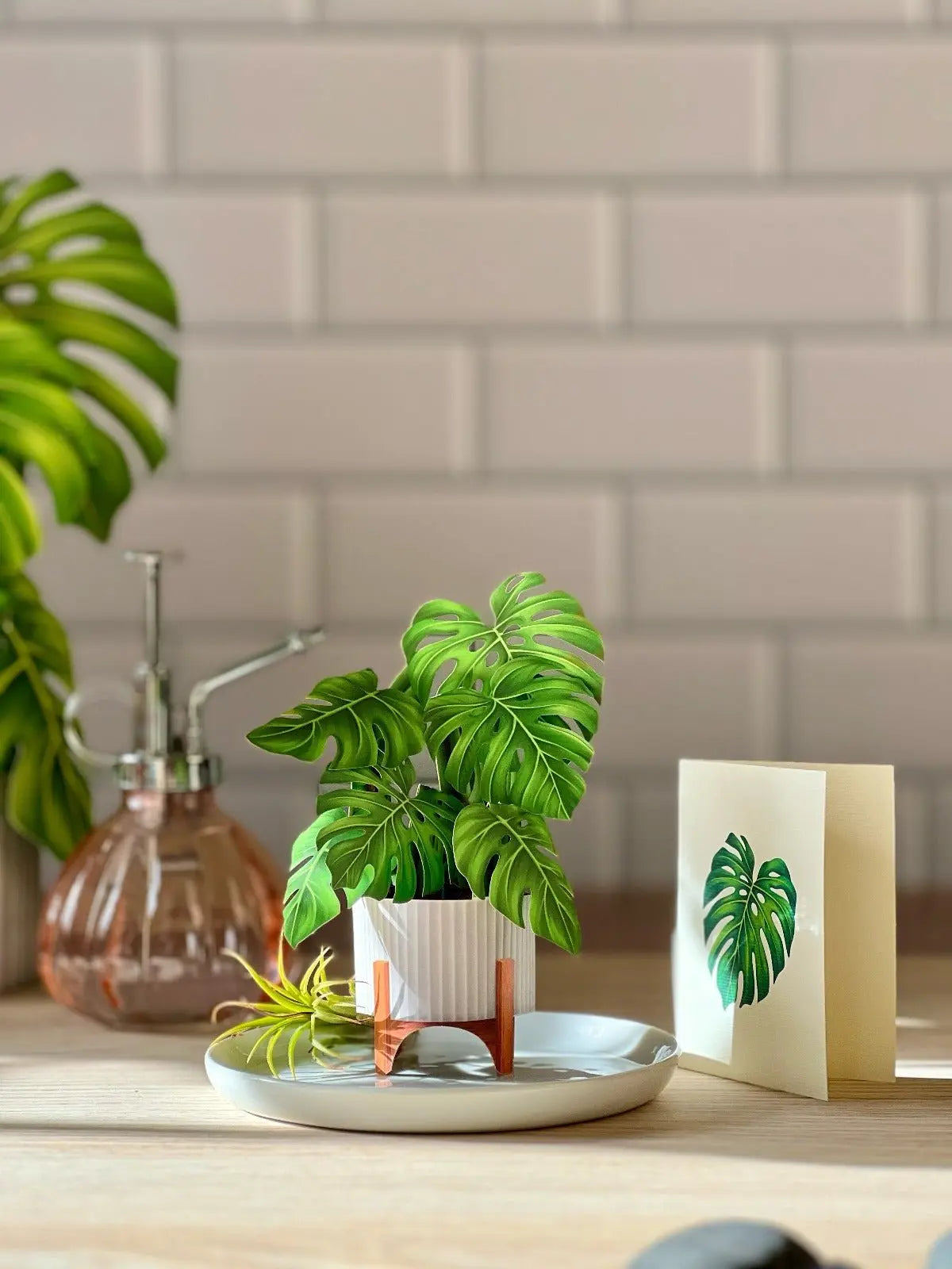 Mini Monstera - FreshCut Paper