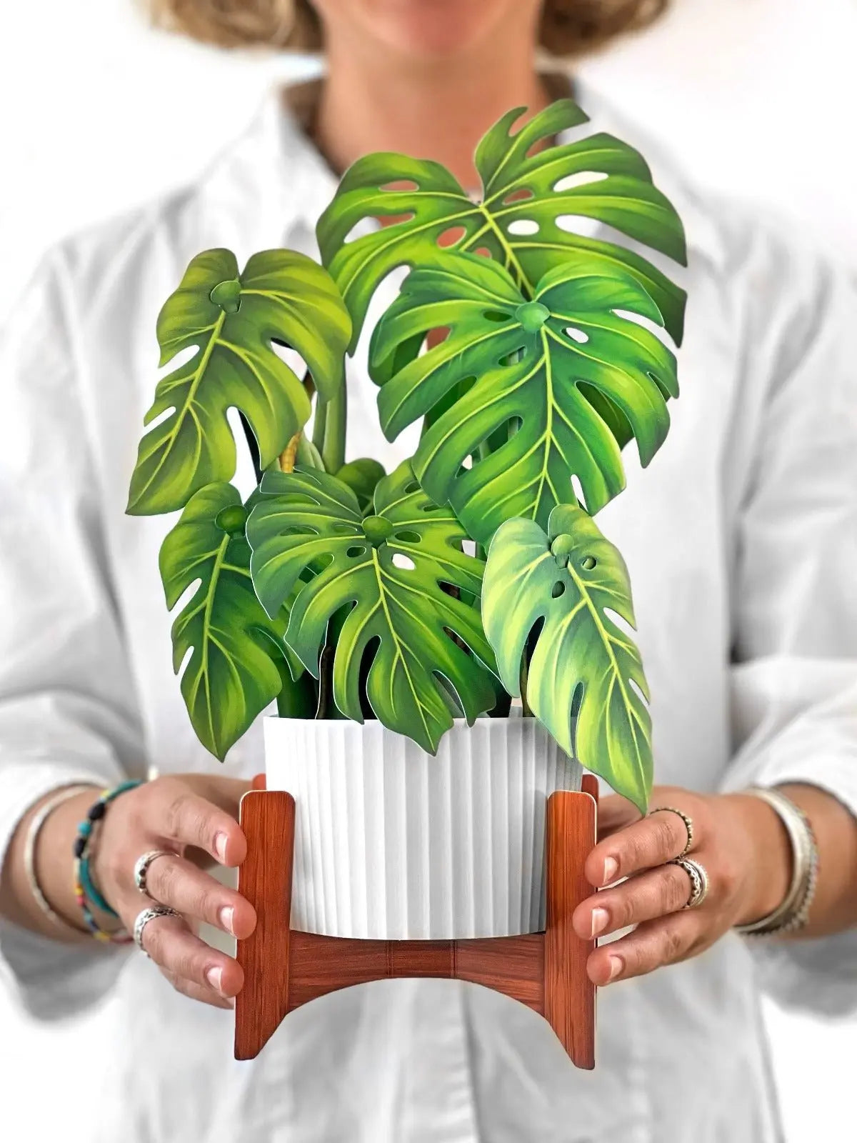 monstera flores Monstera Plant Pop-Up Card