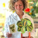Prayer Plant - FreshCut Paper