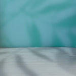 Corgi Popup Card Unboxing Video