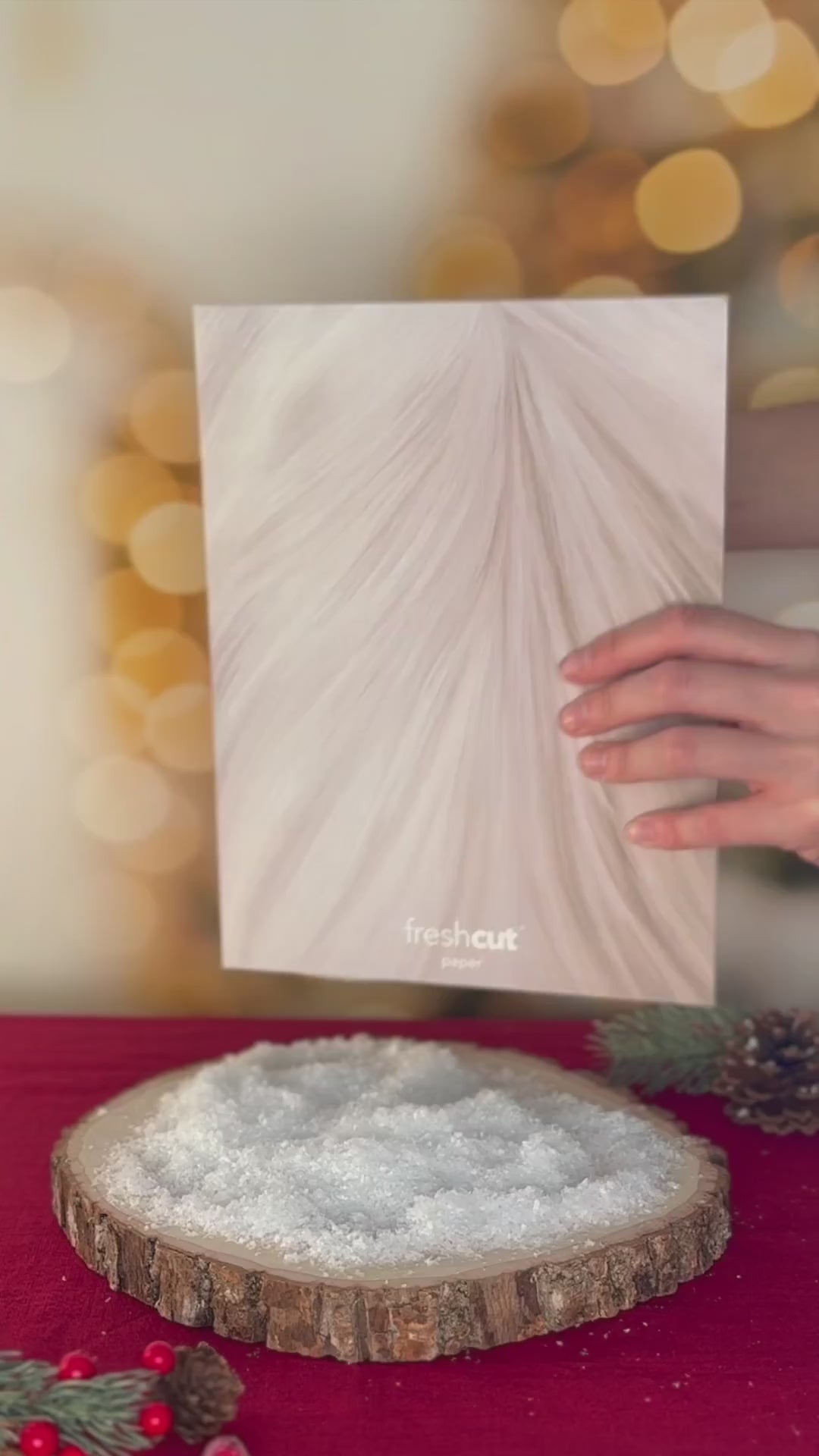 Holiday Ragdoll Cat Pop-Up Card unboxing video