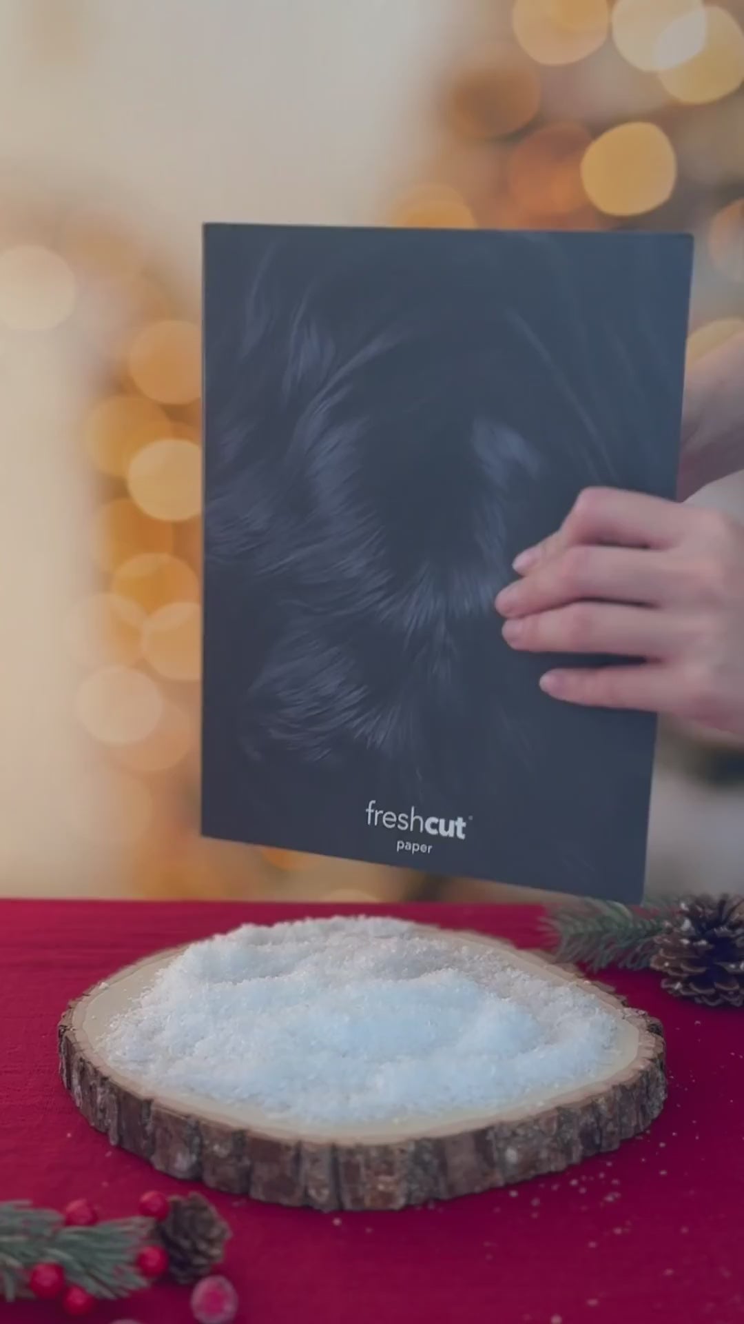 Holiday Black Cat Pop-Up unboxing video 