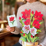 Scarlet Amaryllis - FreshCut Paper