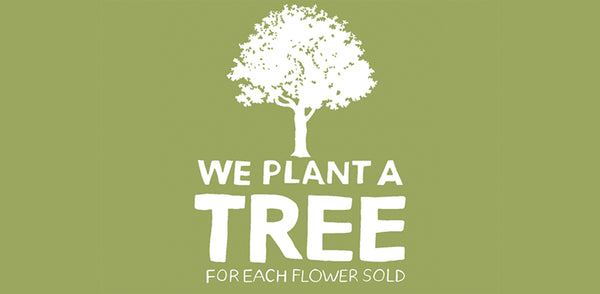 Buy a Bouquet, Plant a Tree