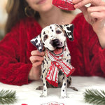 Holiday Dalmatian Pop-Up Card FreshCut Paper