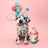 Birthday Dalmatian Pop-Up Card FreshCut Paper