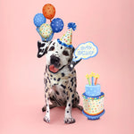 Birthday Dalmatian Pop-Up Card FreshCut Paper