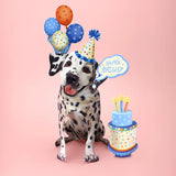 Birthday Dalmatian Pop-Up Card FreshCut Paper