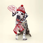Holiday Dalmatian Pop-Up Card FreshCut Paper