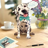 Freshcut paper dalmatian pop-up card on desk