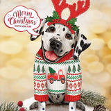 Holiday Dalmatian Pop-Up with reindeer antlers