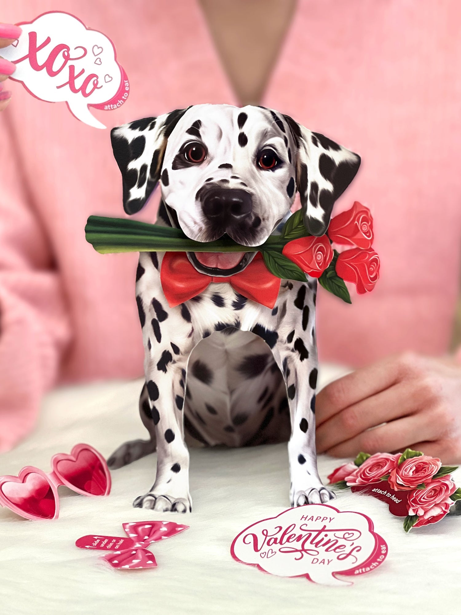 Valentine's Day Dalmatian Pop-Up Card