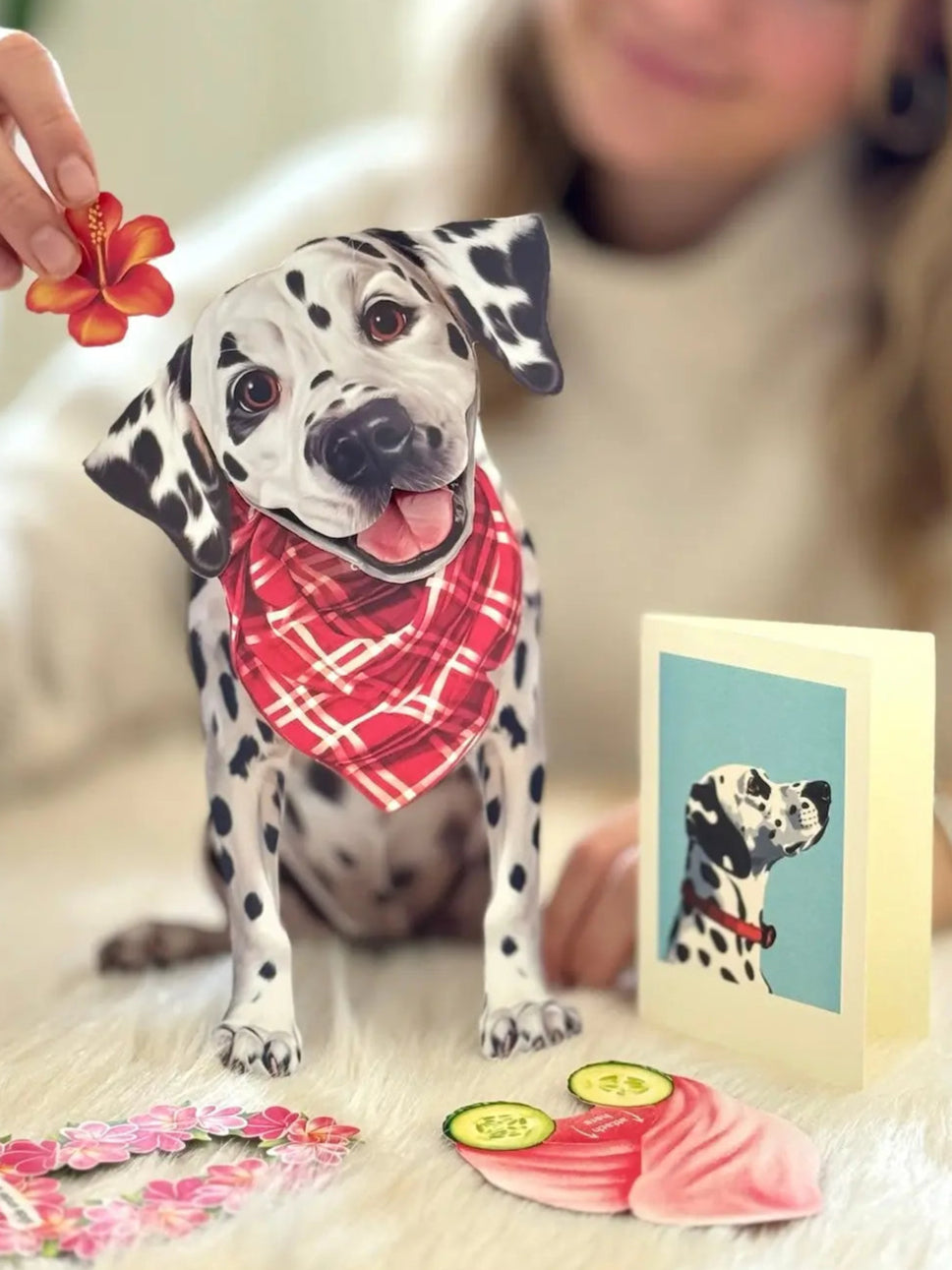 Dalmatian Pop-Up Pup with matching blank notecard and accessories