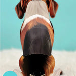 Back of Beagle Pop-Up Pup