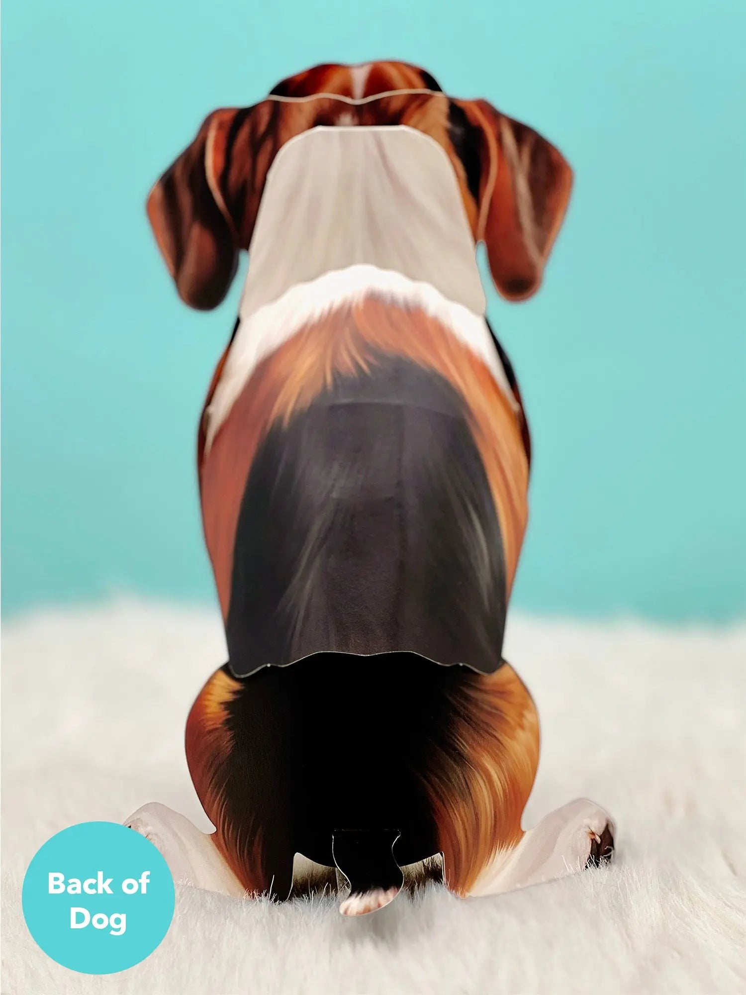 Back of Beagle Pop-Up Pup