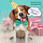 Beagle Pop-Up Pup with birthday accessories