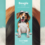 Beagle Pop-Up Pup Envelope