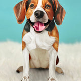 Beagle Pop-Up Pup