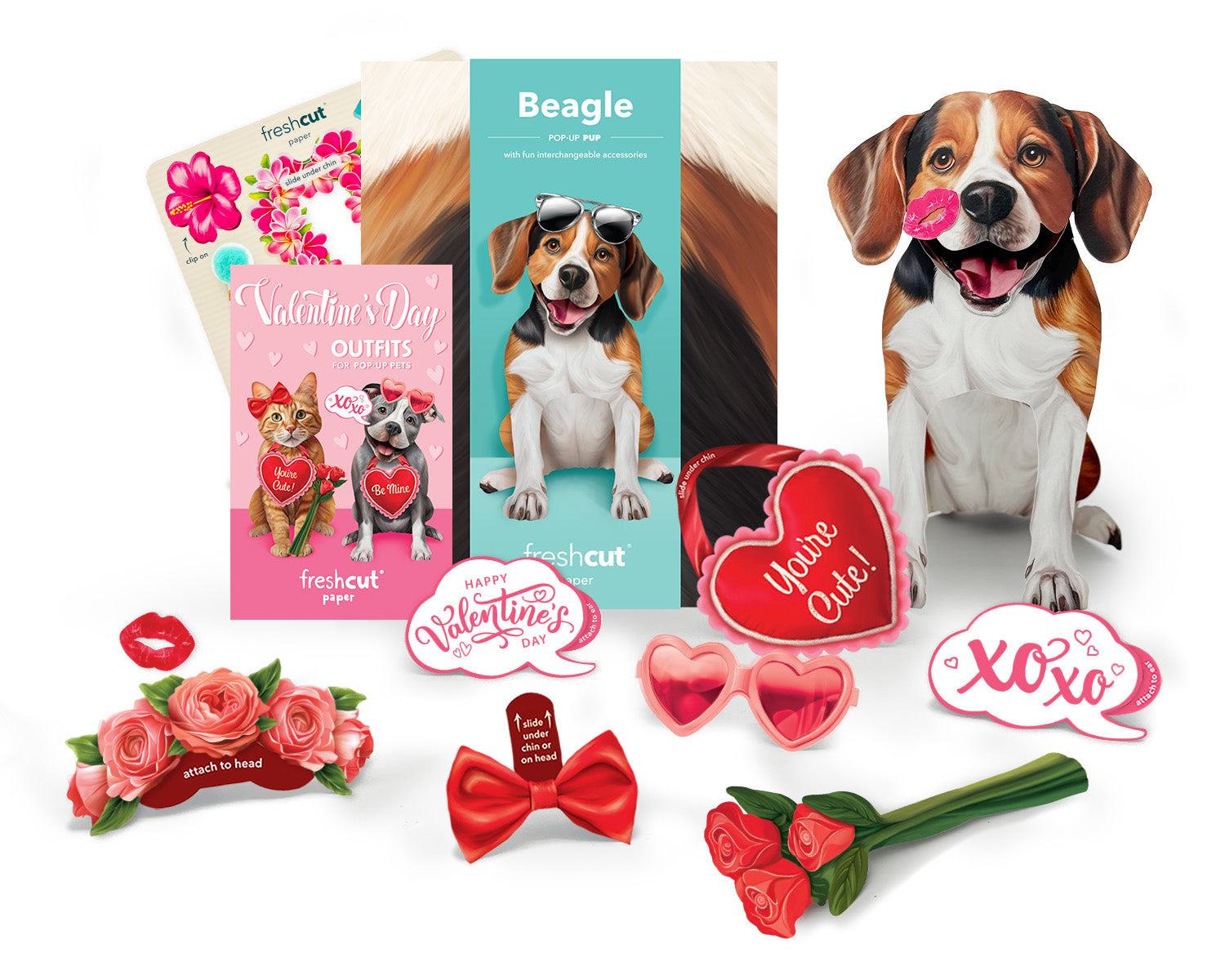 Valentine's Day Beagle Pop-Up Card