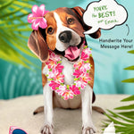 Beagle Pop-Up Pup with vacation accessories