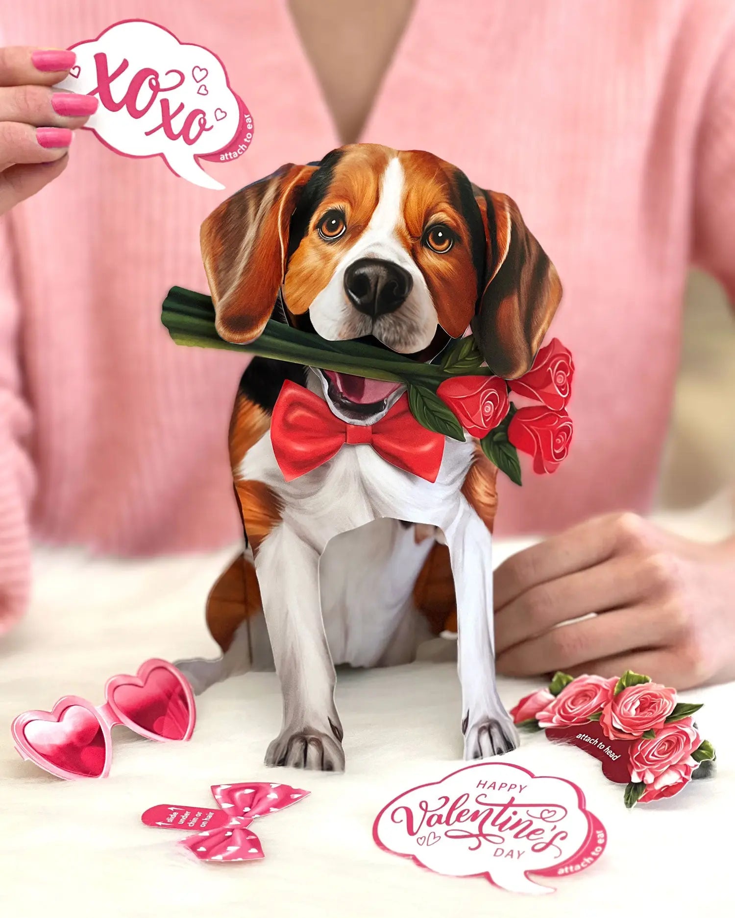 Valentine's Day Beagle Pop-Up Card FreshCut Paper