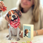 Beagle Pop-Up Pup with matching blank notecard and accessories