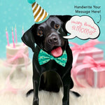 Black Lab Pop-Up Pup with birthday accessories