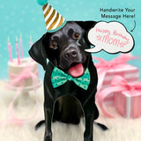 Black Lab Pop-Up Pup with birthday accessories
