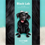 Black Lab Pop-Up Pup Envelope
