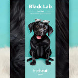 Black Lab Pop-Up Pup Envelope