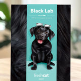 FreshCut Paper Black Lab pop-up card packaging