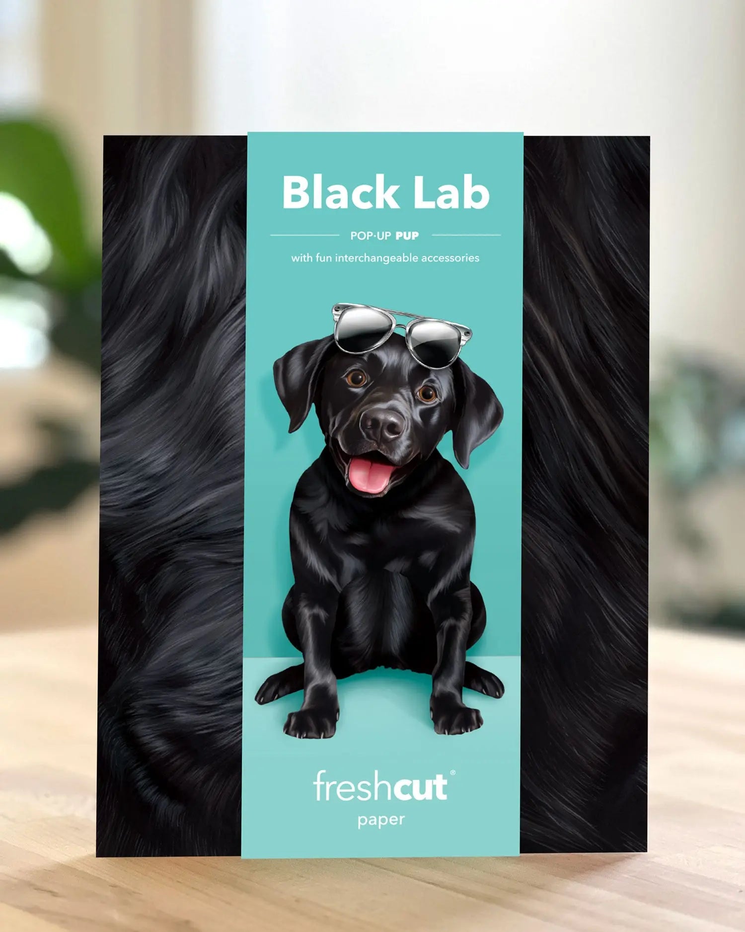 FreshCut Paper Black Lab pop-up card packaging