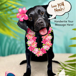 Black Lab Pop-Up Pup with vacation accessories