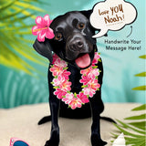 Black Lab Pop-Up Pup with vacation accessories