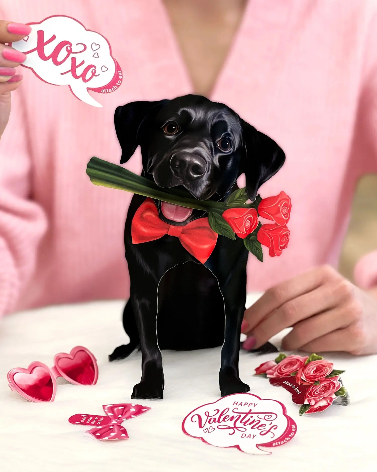 Valentine's Day Black Lab Pop-Up Card FreshCut Paper