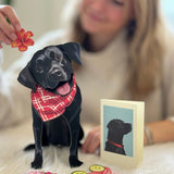 Black Lab Pop-Up Pup with matching blank notecard and accessories