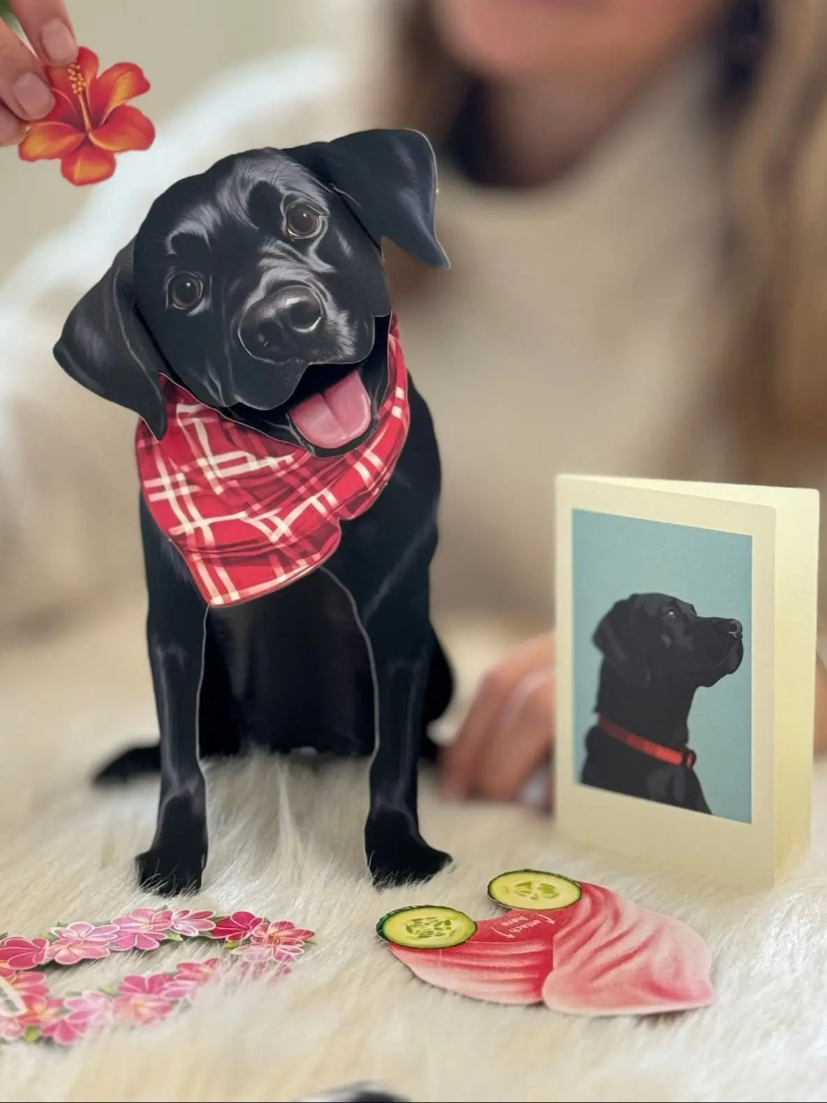 Black Lab Pop-Up Pup with matching blank notecard and accessories
