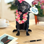 Freshcut Paper Black Lab pop-up card with pink flower leis on a wooden surface with a card and pen.