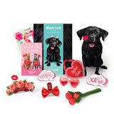 Valentine's Day Black Lab Pop-Up Card