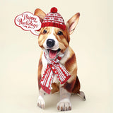 Holiday Corgi Pop-Up Card FreshCut Paper