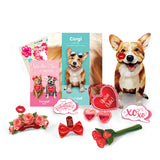 Valentine's Day Corgi Pop-Up Card
