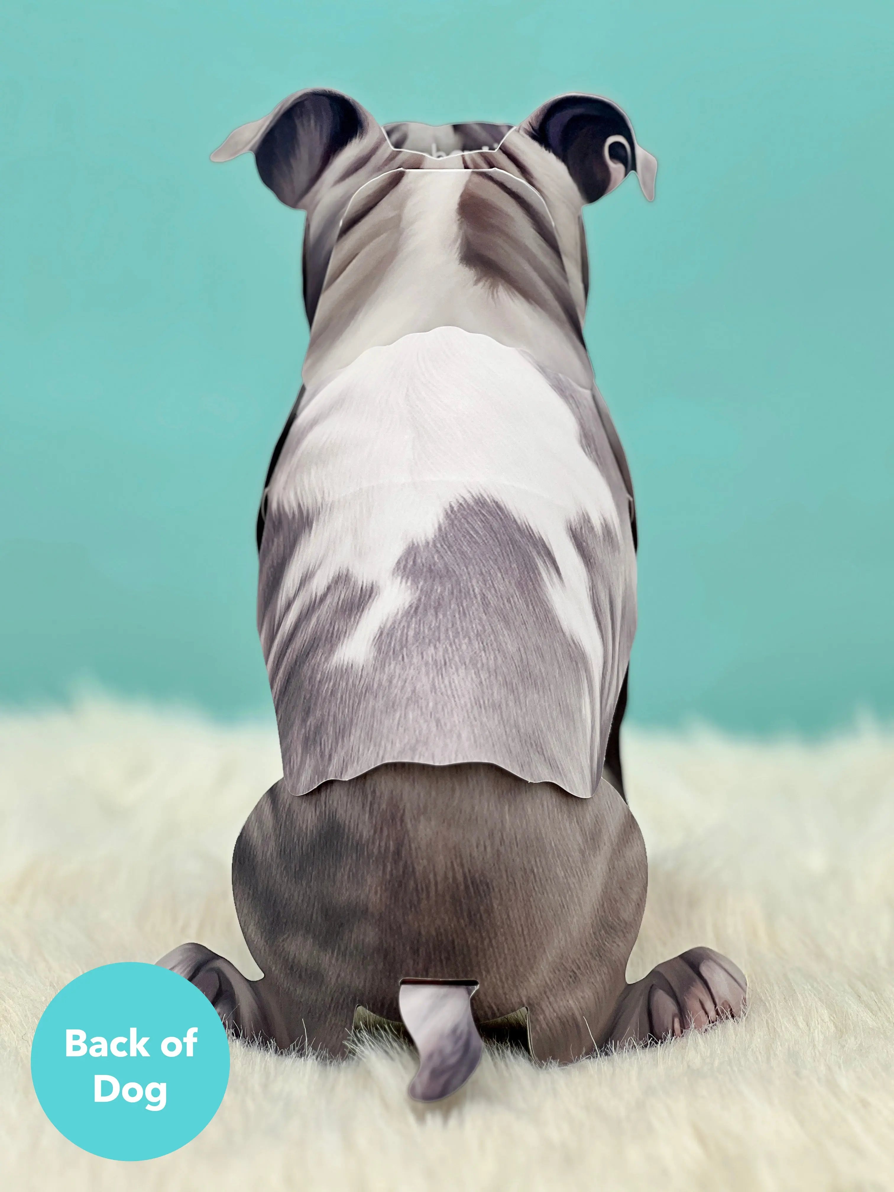 Back of Gray Pit Bull Pop-Up Pup 