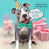 Gray Pit Bull Pop-Up Pup with birthday accessories