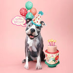 Birthday Pit Bull Pop-Up Card FreshCut Paper
