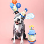 Birthday Pit Bull Pop-Up Card FreshCut Paper